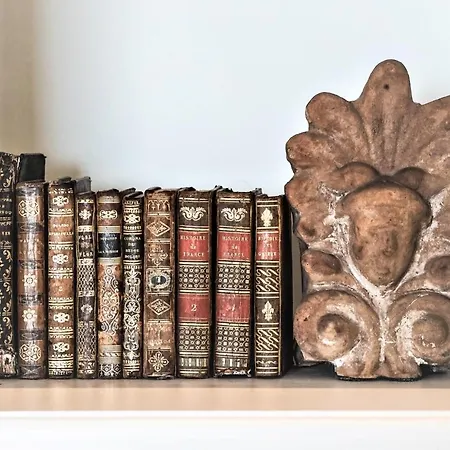 Nautilia - Luxury And カラファティス